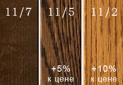 витязь киевн.png